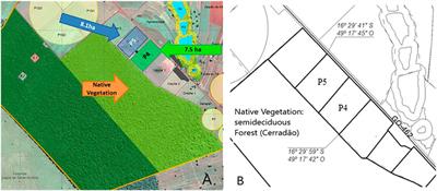 Predicting Soil Organic Carbon Dynamics of Integrated Crop-Livestock System in Brazil Using the CQESTR Model